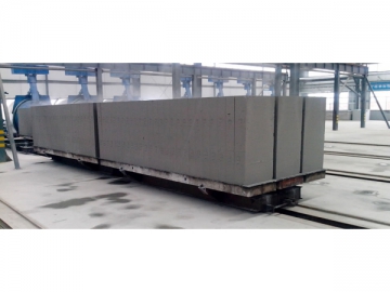 Rail Cart (for Autoclave Loading)