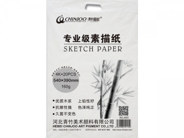 Professional Drawing Paper