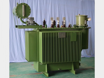 Oil Immersed Power Transformer with OLTC