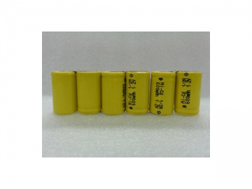 A Ni-Cd Rechargeable Battery