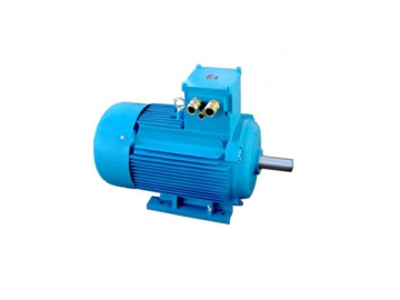 Explosion Proof Three-Phase Induction Motor