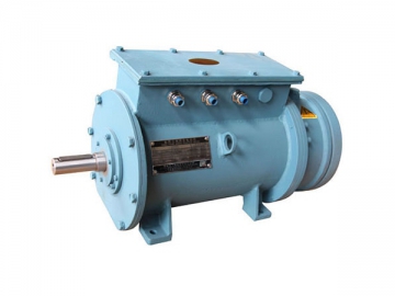 Three-phase Induction Motor (for Lifting)