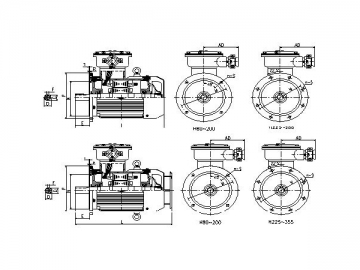 Explosion Proof Three-phase Induction Motor, YB3 Series