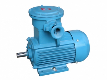 Explosion Proof Three-phase Induction Motor, YB2 Series
