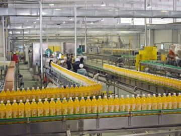 Bottle Conveyor System
