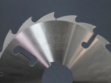 TCT Thin Kerf Multi-Rip Saw Blade with Rakers