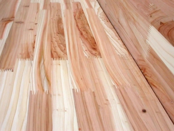 Oily Pine Wood Adhesive