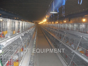 Pullet Cage
