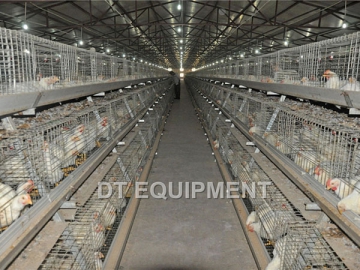 Broiler Cage