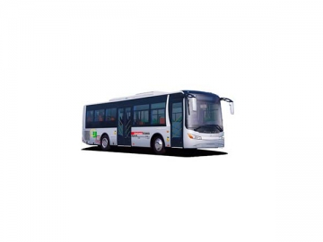 Pure Electric Buses