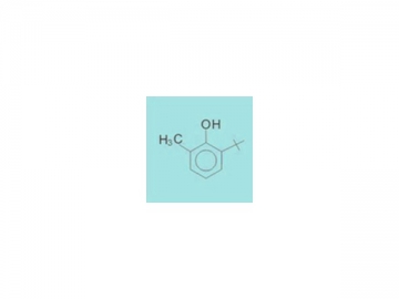 6-tert-butyl-2-methylphenol  2006
