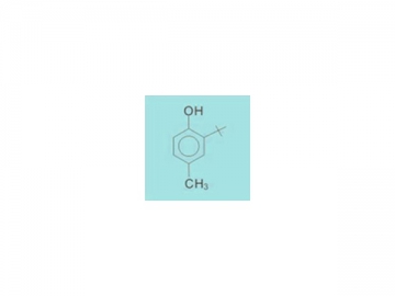 2-tert-butyl-4-methylphenol 2007