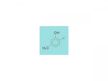 6-tert-butyl-3-methylphenol  2008