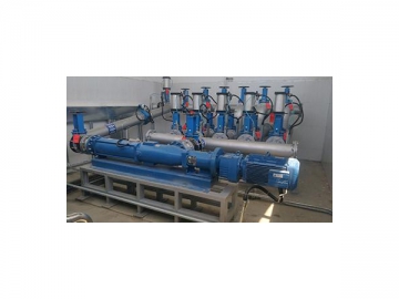 Progressive Cavity Pump in Biogas Production