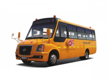 DD6800C03FXN School Bus