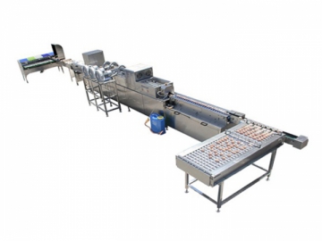 301A Egg Processing  Line with Cleaning & Grading (5000 EGGS/HOUR)