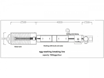 300C Egg Processing Line with Cleaning, Separating (10000 EGGS/HOUR)