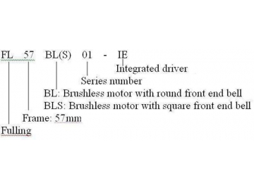 57mm Brushless Motor with Internal Driver