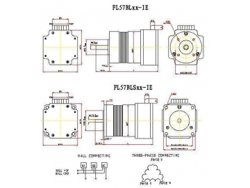 57mm Brushless Motor with Internal Driver