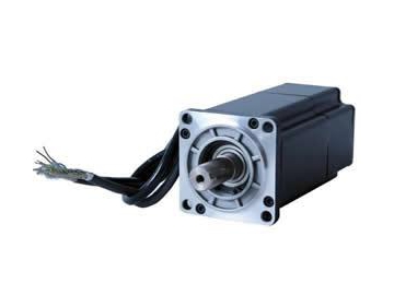 60mm AC Servo Motor