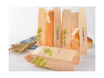 FSB650  Full-SERVO High Speed Flat & Satchel Paper Bag Machine
