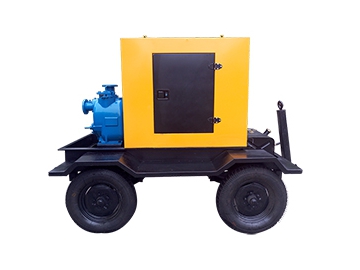 Diesel Engine Driven Pump