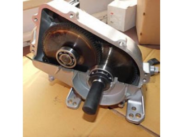 Gear Motor