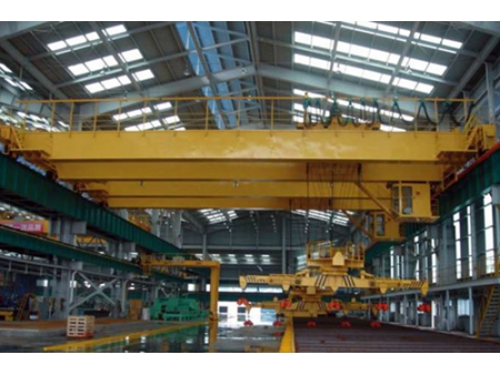 Bridge Crane with Carrier Beam