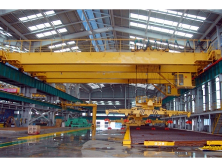 Bridge Crane with Carrier Beam