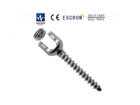 Torx Spinal Fixation System