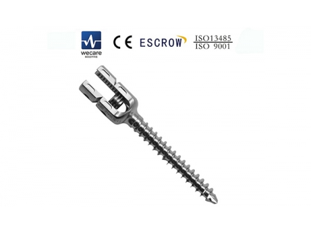 Spinal Fixation System