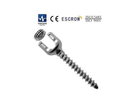 Spinal Fixation System