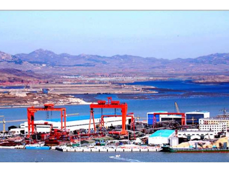 Marine Hose for Oil, NG, and LPG Transfer