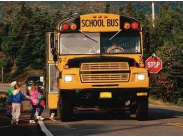 School Bus Stop Arm Lamp