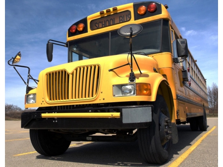 School Bus Stop Arm Lamp