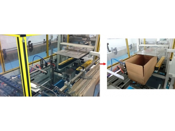 Carton Packaging Line