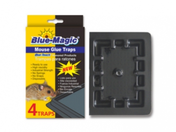 Multi-Function Single Row Glue Trap Board Machine Model: HG818
