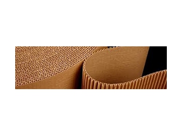 Single Facer (Fingerless Type)