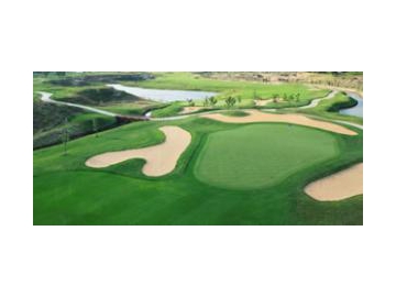 FLASH Rugby Artificial Turf