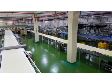 Straight Line Type Cooling Conveyor