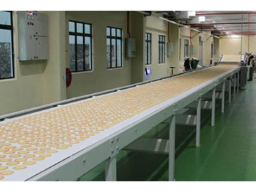 Straight Line Type Cooling Conveyor