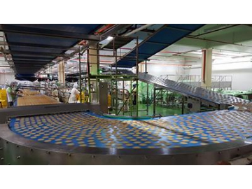 Clip-Type Cooling Conveyor