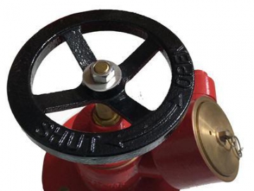 Oblique Landing Valve for Fire Hydrant System