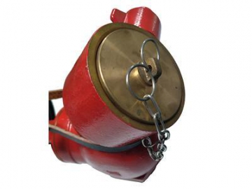 Bib Nose Landing Valve for Fire Hydrant System