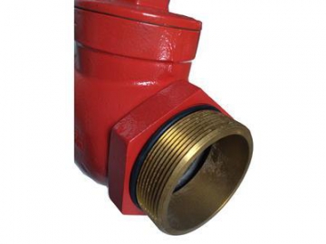 Bib Nose Landing Valve for Fire Hydrant System