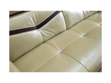 GF096 Modern Sectional Leather Sofa