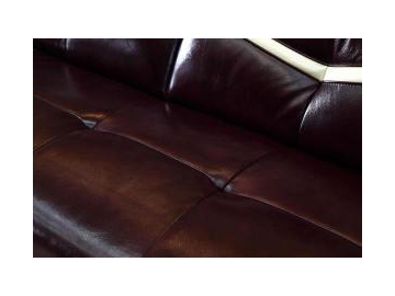 GF096B Contemporary Leather Sofa