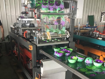 500 Automatic Plastic Thermoforming Machine