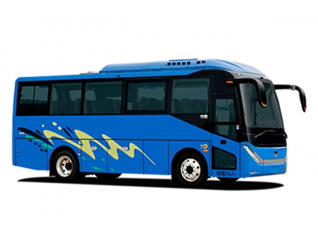 6829H Coach (Spring)