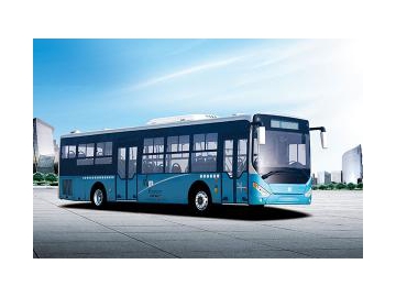 LCK6125A Coach (Compass)